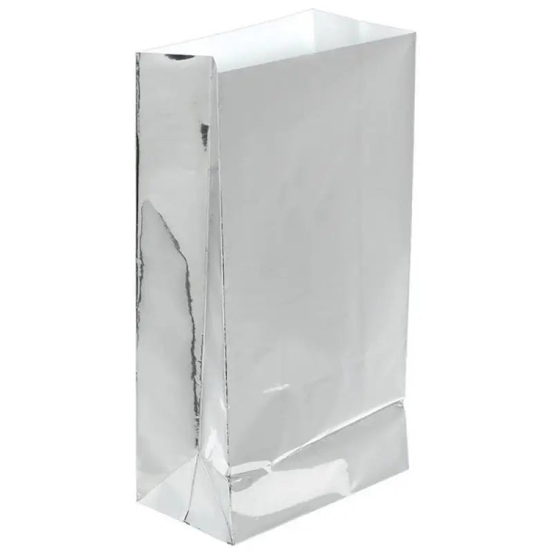 Large Paper Treat Bags 12pk - Silver Foil