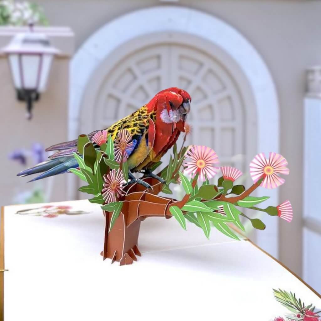 Luxury Embossing Australian Eastern Rosella Parrot Bird Card
