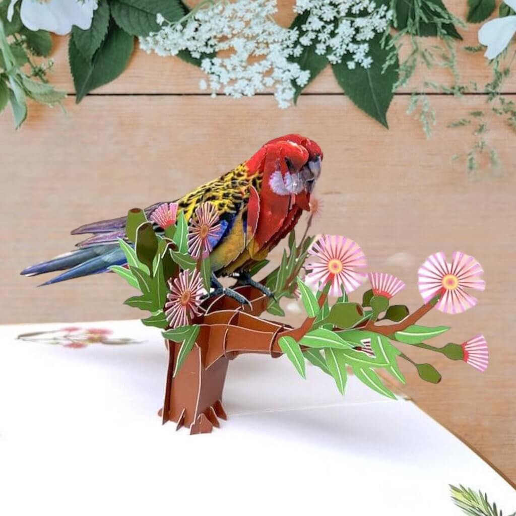 Luxury Embossing Australian Eastern Rosella Parrot Bird Card