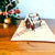 Handmade Christmas Gingerbread House Pop Up Greeting Card - 3D Xmas Cards