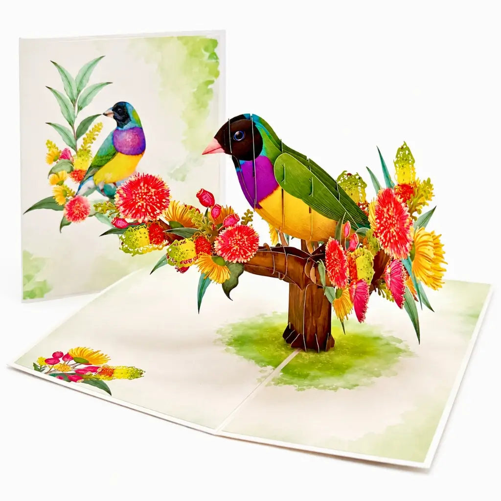 Colourful finch card with gumnut flowers