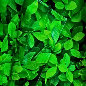 Green leaves printed waterproof tablecloth for dining and parties