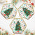 Christmas Tree Hexagonal Paper Plates 23cm 8pk