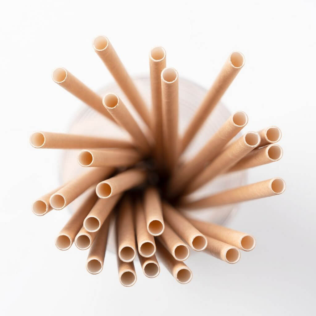 Kraft Paper Straws 20pk