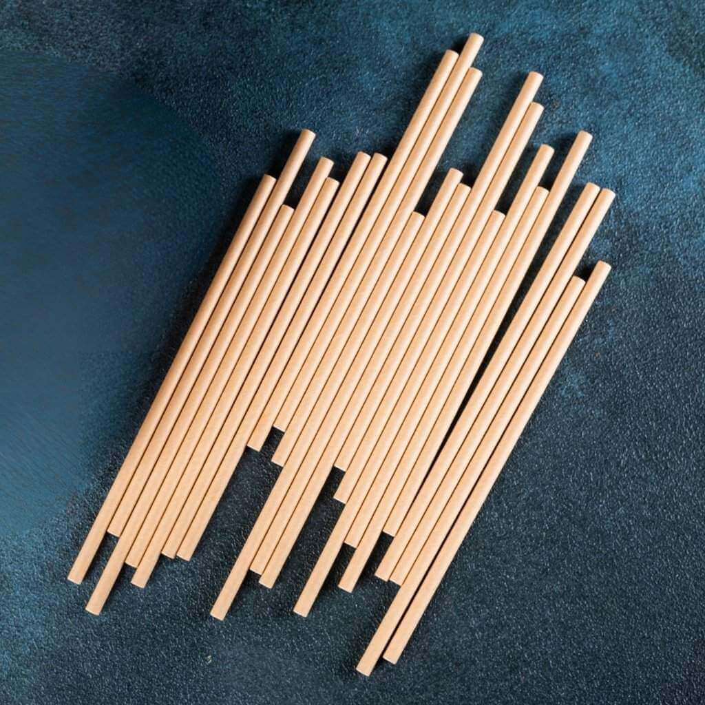 Kraft Paper Straws 20pk