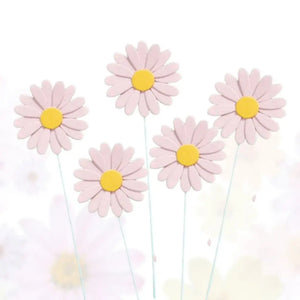 Pastel Baby Pink Daisy Cupcake Toppers 5pk