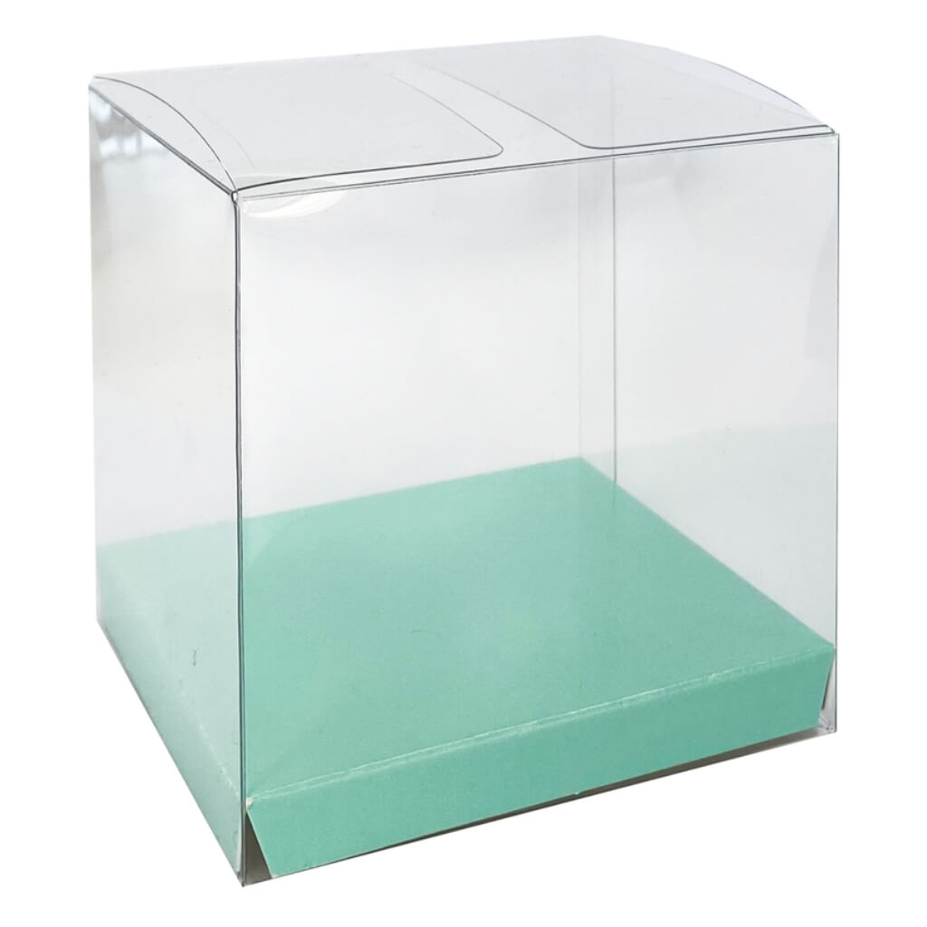 Pastel Mint Green Clear Plastic Favour Boxes 10pk