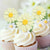 Pastel Yellow Daisy Cupcake Toppers 5pk