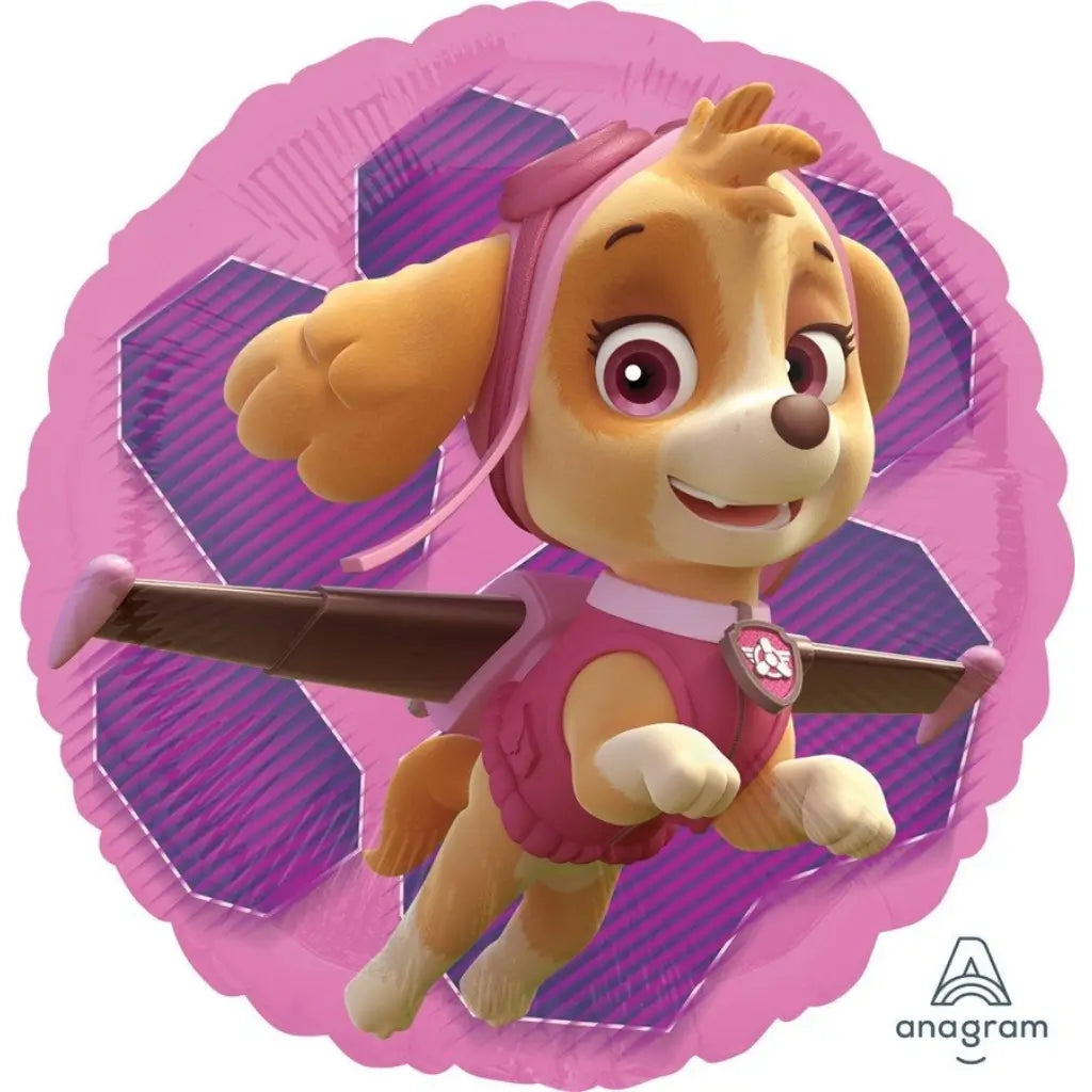 Paw Patrol Skye and Everest 45cm round foil balloon for girls birthday party decorations