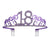 Metal Rhinestone Age 18 Birthday Purple Tiara