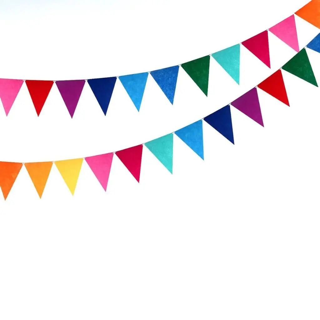 Rainbow Pennant Flag Banner Bunting