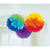 Rainbow Fluffy Tissue Paper Pom pom hanging Decorations 3pk
