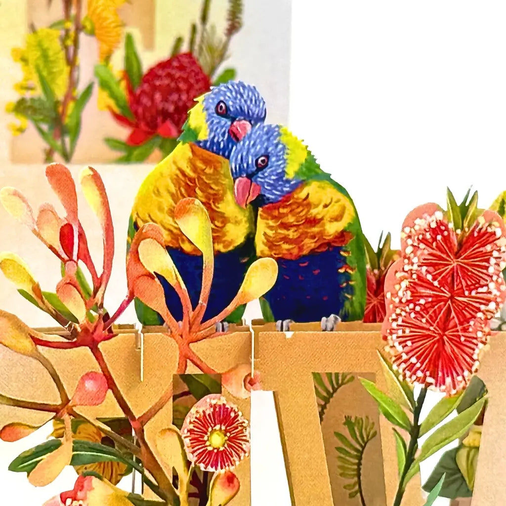 Rainbow Lorikeet LOVE Birds with native flowers 3D pop-up card