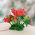 Handmade Online Party Supplies Red Flowering Poinsettia Bush 3D Pop Up Get Well Card