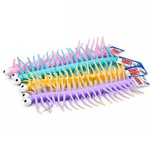 Assorted colourful stretchy centipede insect sensory fidget toy