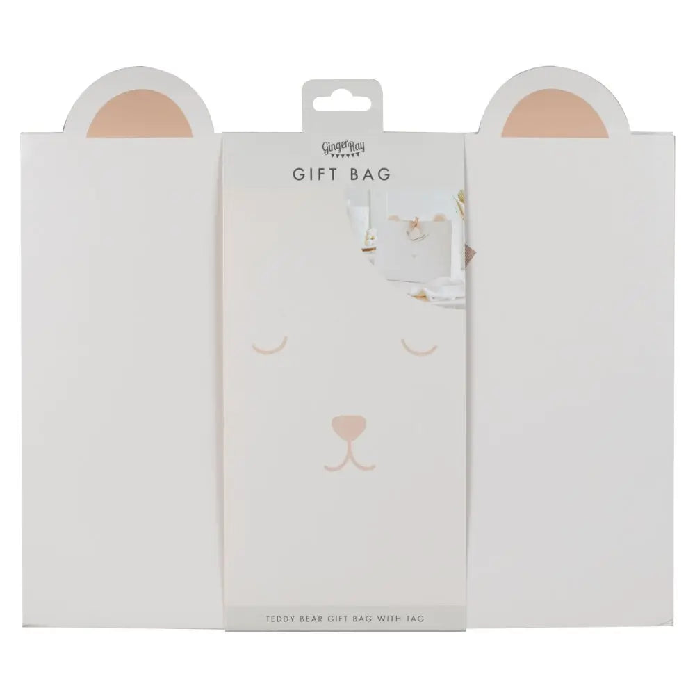 Teddy Bear Baby Shower Gift Bag