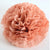 Terracotta Tissue Paper Pom Pom