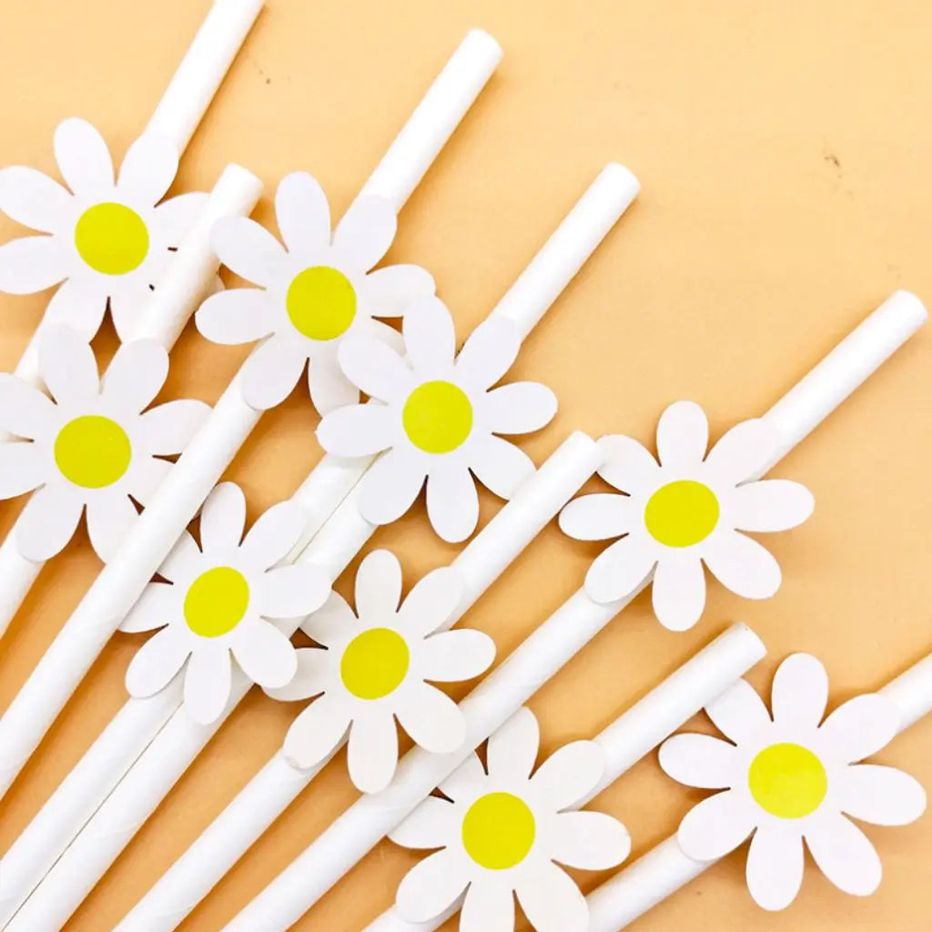 White Daisy Paper Straws 10pk