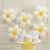 White Daisy Latex Balloons 5pk - Gold Centre