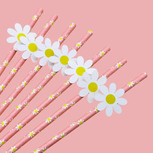 Pink Daisy Paper Straws 10pk