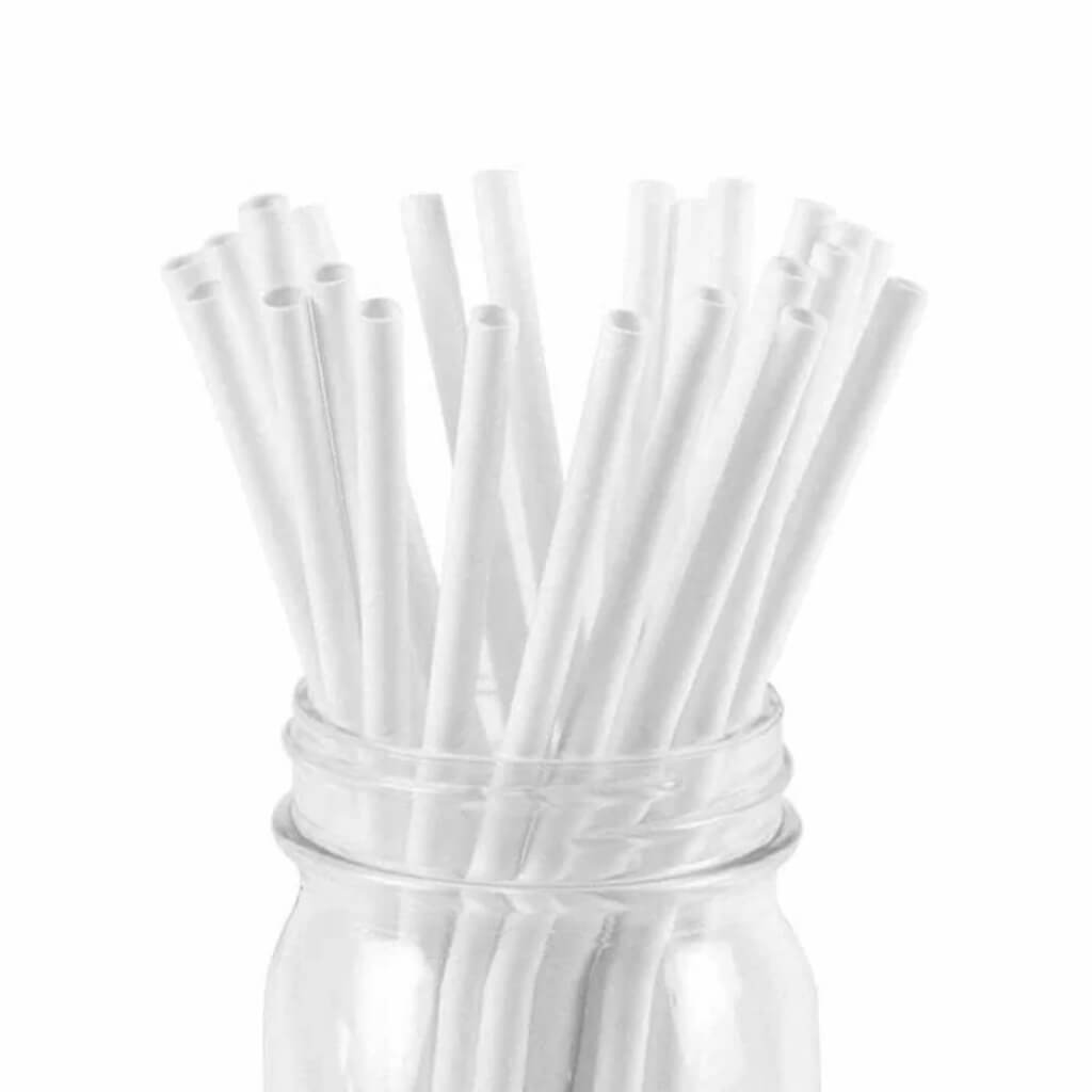 White Paper Party drinking sipping disposable Straws 20pk for birthday wedding baby shower table decorations
