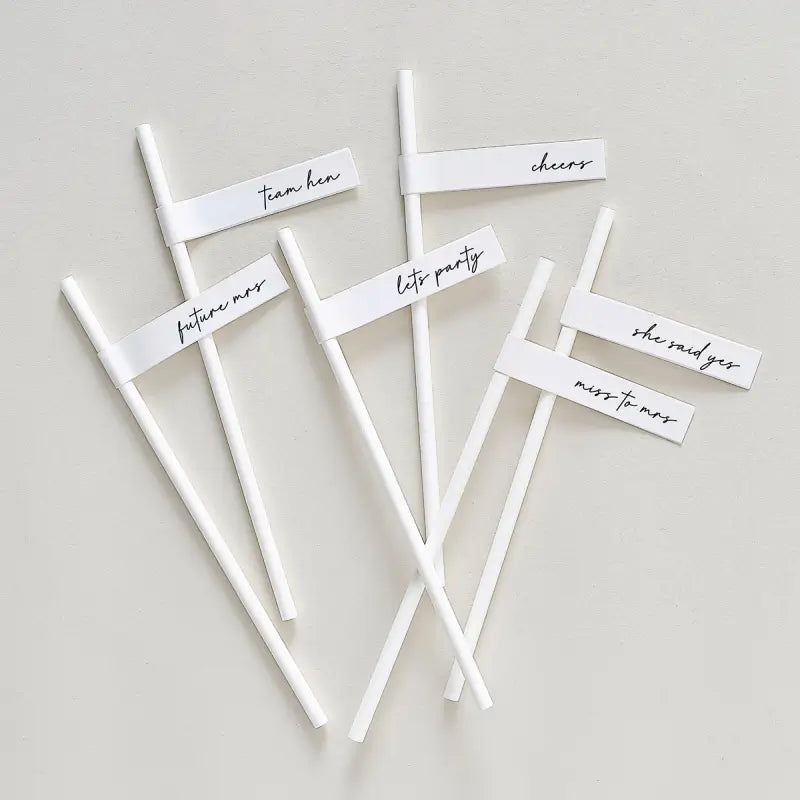 Team Bride Hen Party Paper Straws 16pk