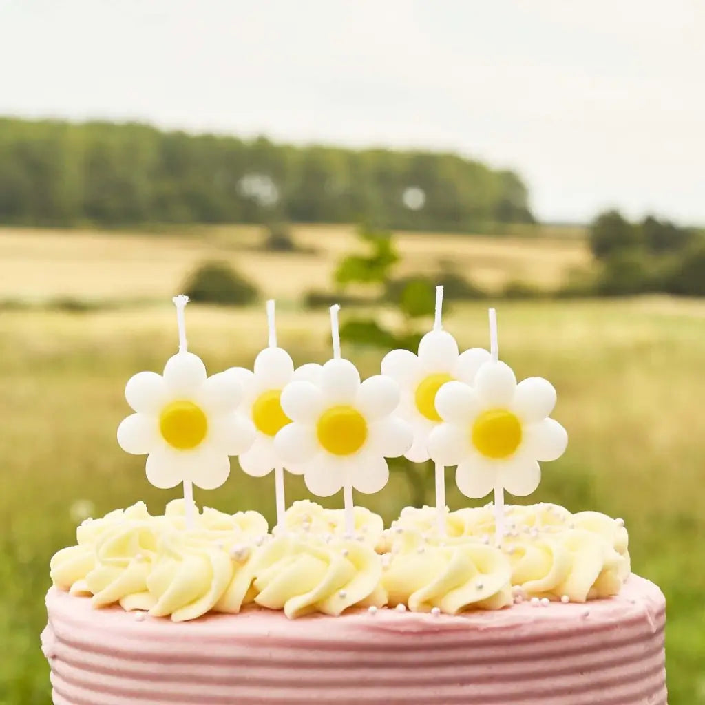 White and yellow daisy flower candles for birthday cake or garden party