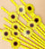 Yellow Polka Dot Sunflower Paper Straws 10pk