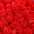 100pcs Artificial Foam Rose Flower Heads - Red