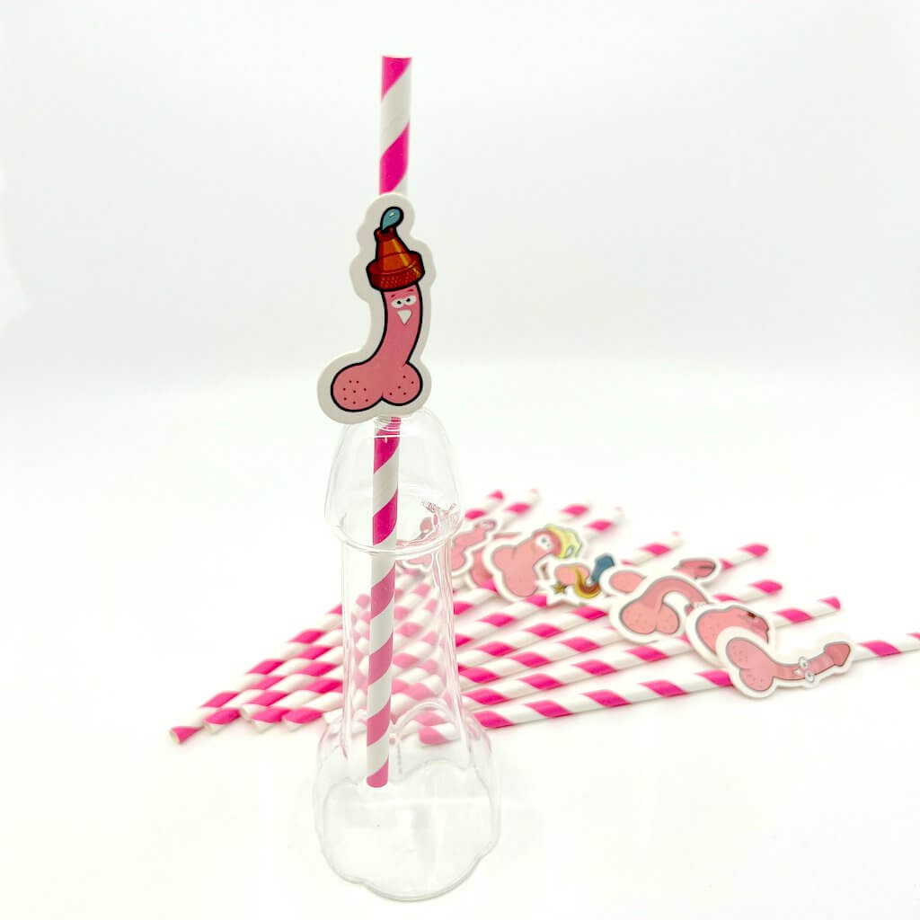 Hen Party Penis with Funny Faces Drinking Straw 10 Pack