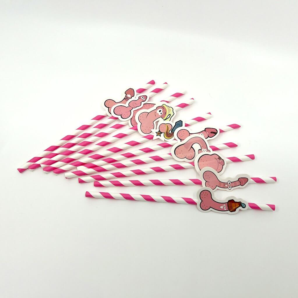 Hen Party Penis with Funny Faces Drinking Straw 10 Pack