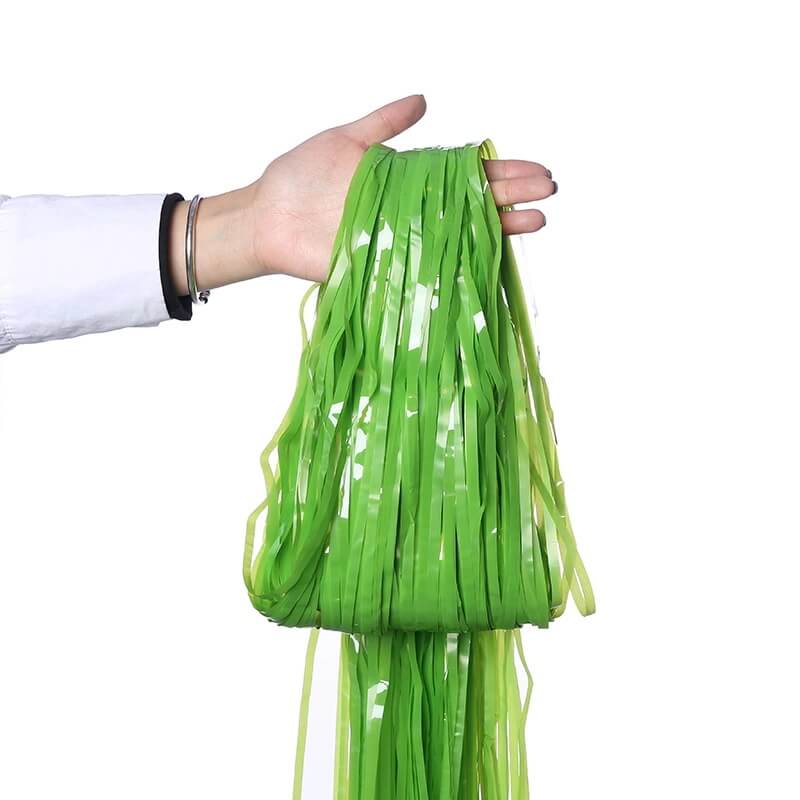 Pastel Green Tinsel Fringe Backdrop Foil Curtain