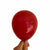 5" Burgundy Red Mini Latex Balloon 10 Pack