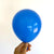 5" Dark Blue Mini Latex Balloon 10 Pack
