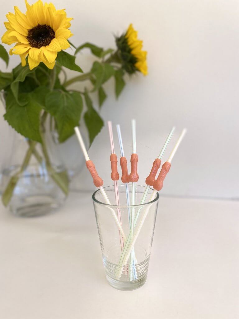 Naughty 3D Hen Party Penis Shaped Nude Drinking Straws Pack of 6