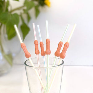 Naughty 3D Hen Party Penis Shaped Nude Drinking Straws Pack of 6