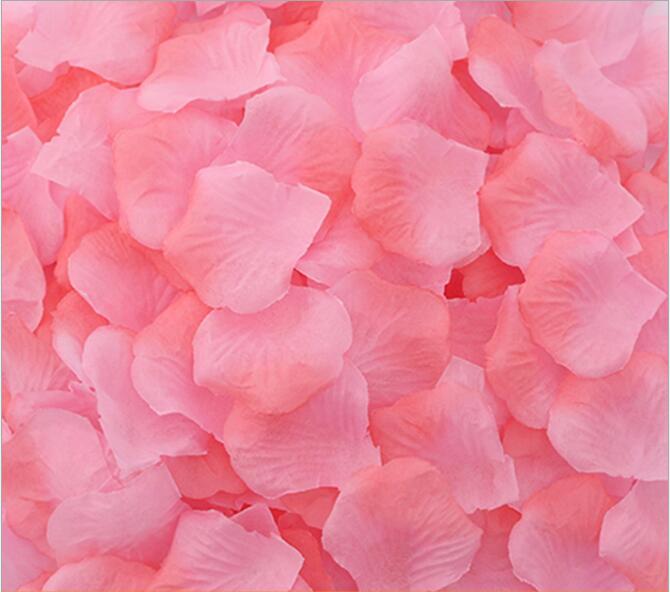 Artificial baby pink & peach Silk Wedding Runner Aisle Flower Girls Rose Petals Australia