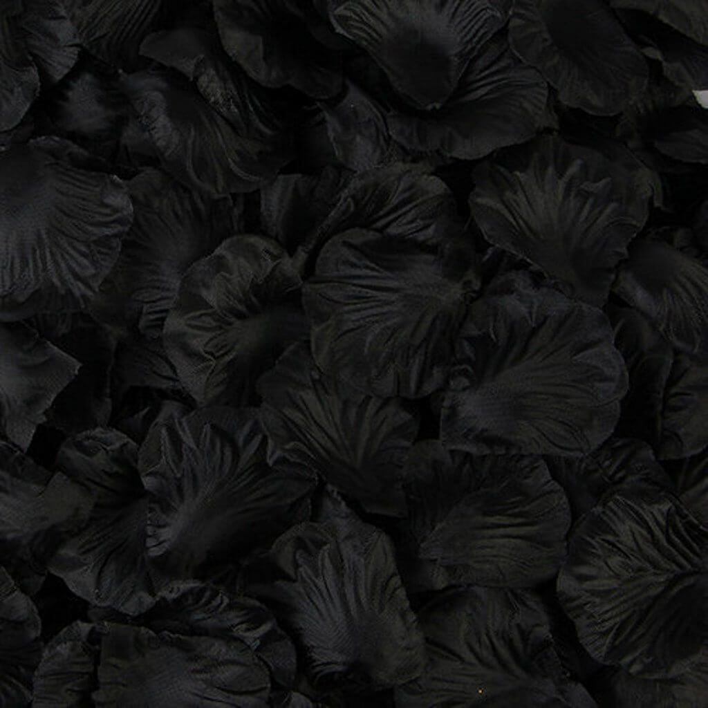 Artificial Black Silk Wedding Runner Aisle Flower Girls Rose Petals Australia