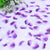 Artificial Purple White Silk Wedding Runner Aisle Flower Girls Rose Petals Australia