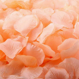 Artificial Flesh Pink Silk Wedding Runner Aisle Flower Girls Rose Petals Australia