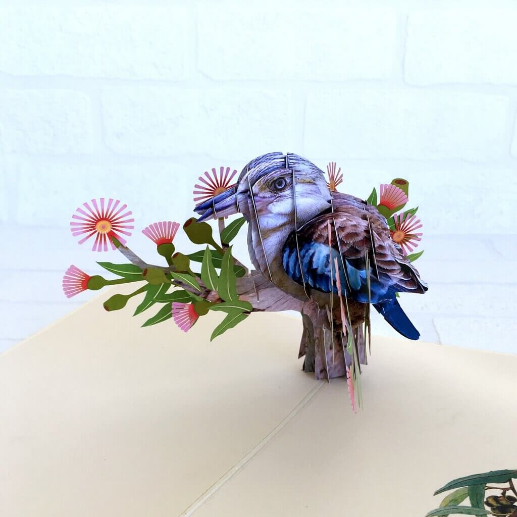 Online Party Supplies Handmade Australian Native Laughing Kookaburra Bird 3D Pop Up Greeting Card
