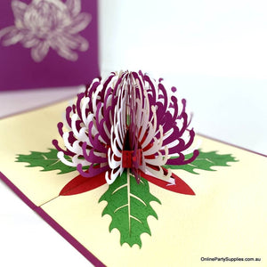 Online Party Supplies Australian Native Flower Purple White Waratah Pop Up Greeting Birthday Mother's Day Card