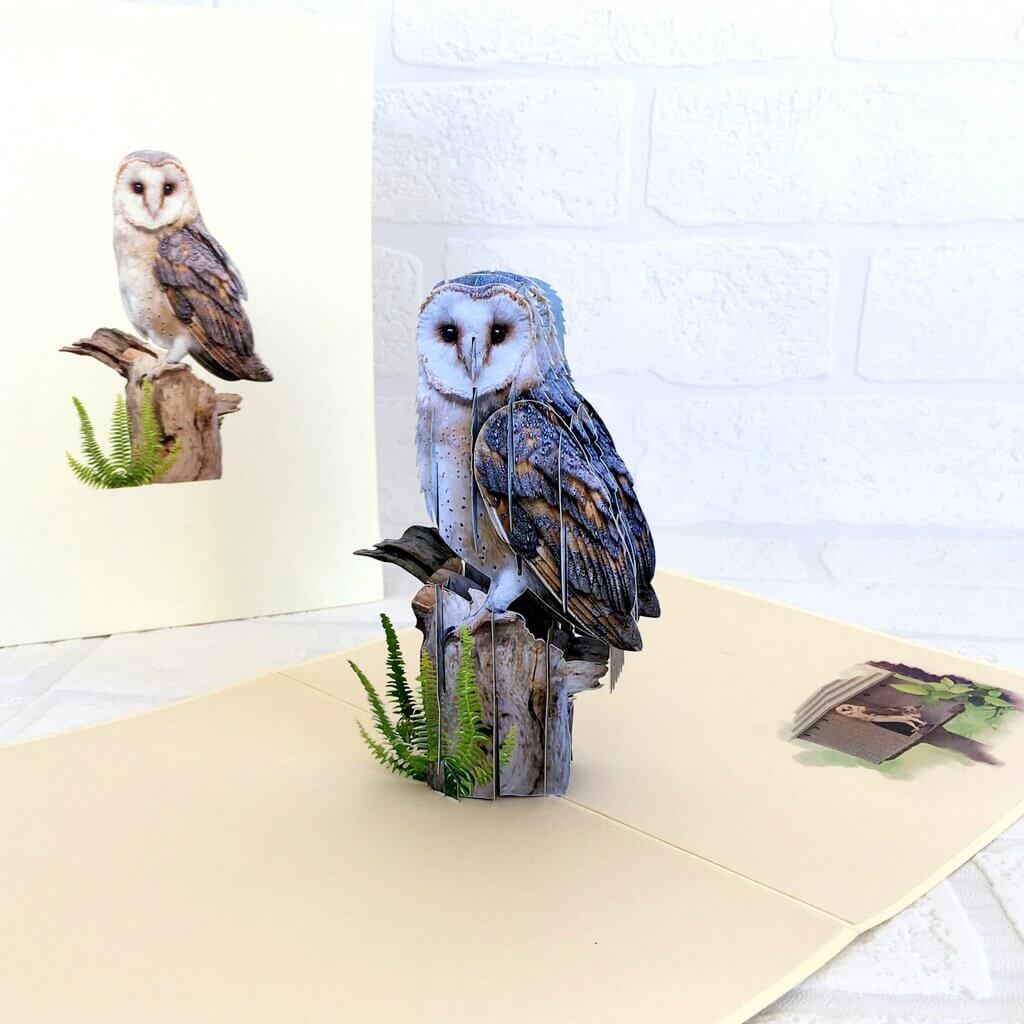 Handmade Online Party Supplies Barn Owl Bird 3D Pop Up Greeting Card