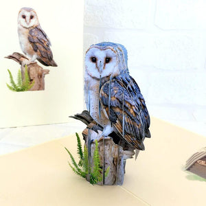 Handmade Online Party Supplies Barn Owl Bird 3D Pop Up Greeting Card