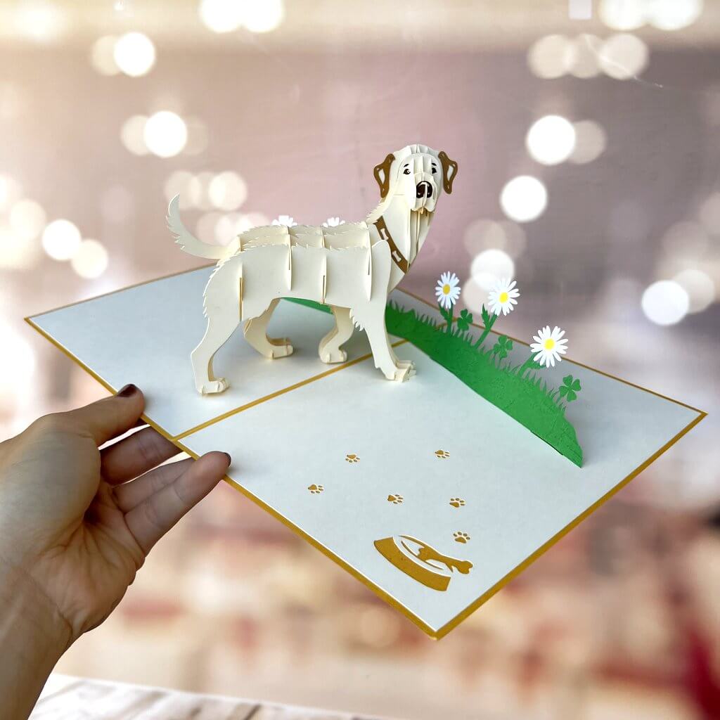 Handmade White Labrador Dog in Daisy Garden 3D Pop Up Card - Online Party Supplies