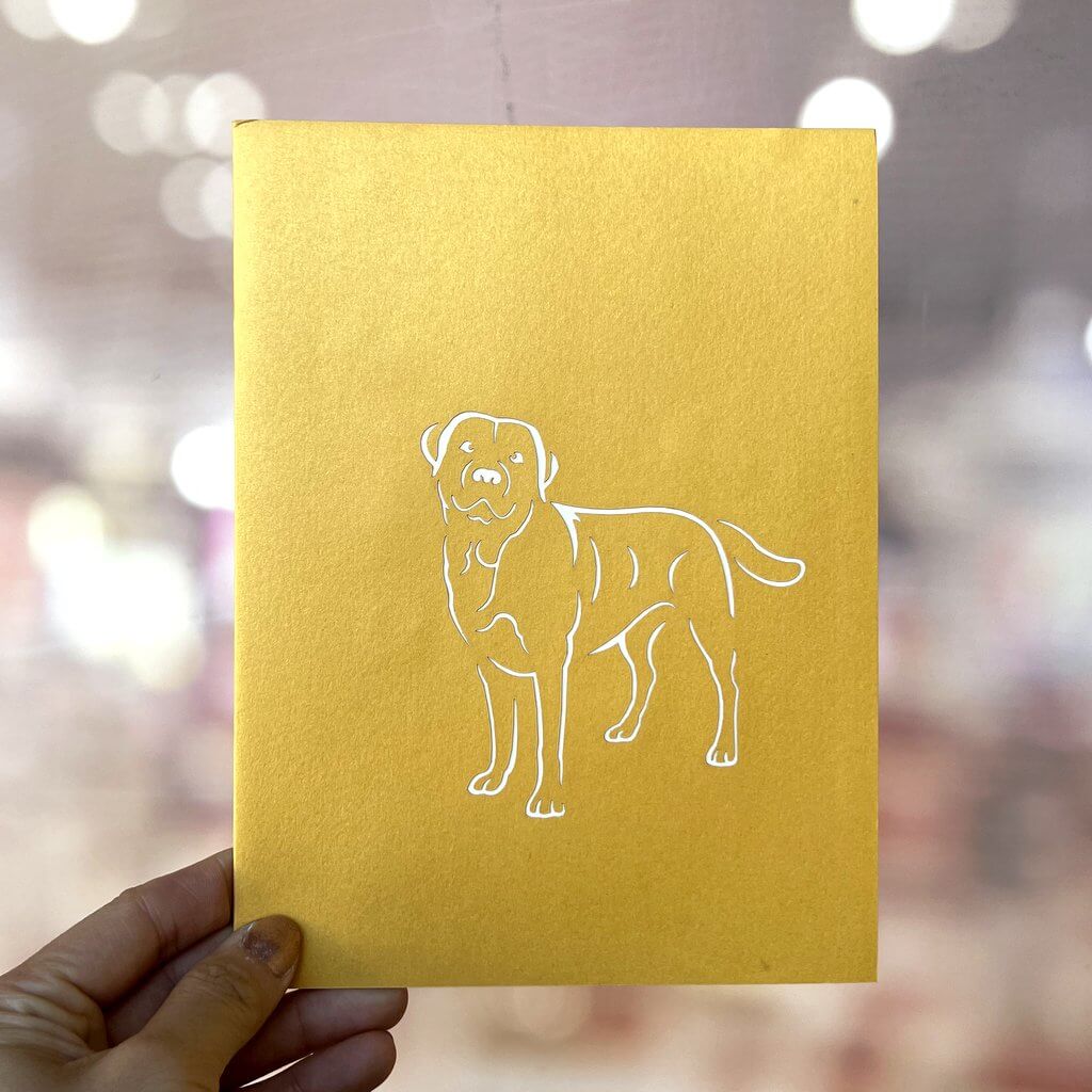 Handmade White Labrador Dog in Daisy Garden 3D Pop Up Card - Online Party Supplies