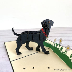 Handmade Black Labrador Dog in Daisy Garden 3D Pop Up Birthday Card