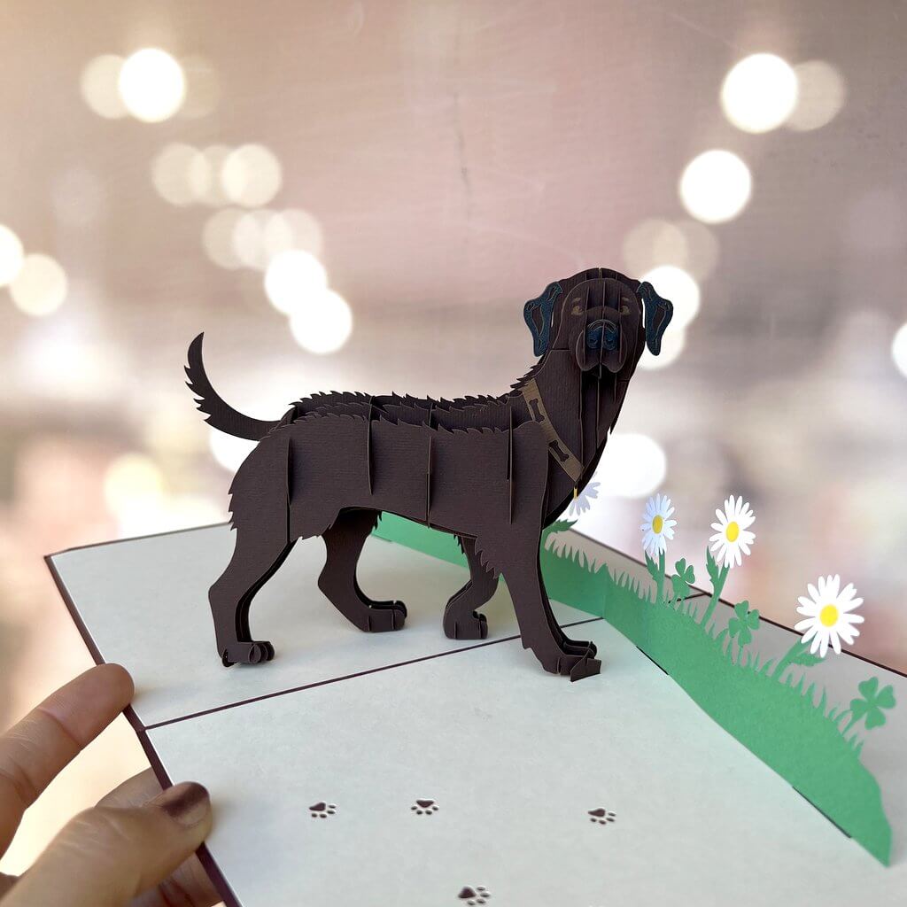 Handmade Dark Brown Labrador Dog in Daisy Garden 3D Pop Up Card