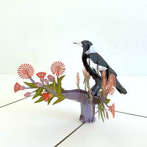 Handmade Australian Native Magpie Pop Up Card