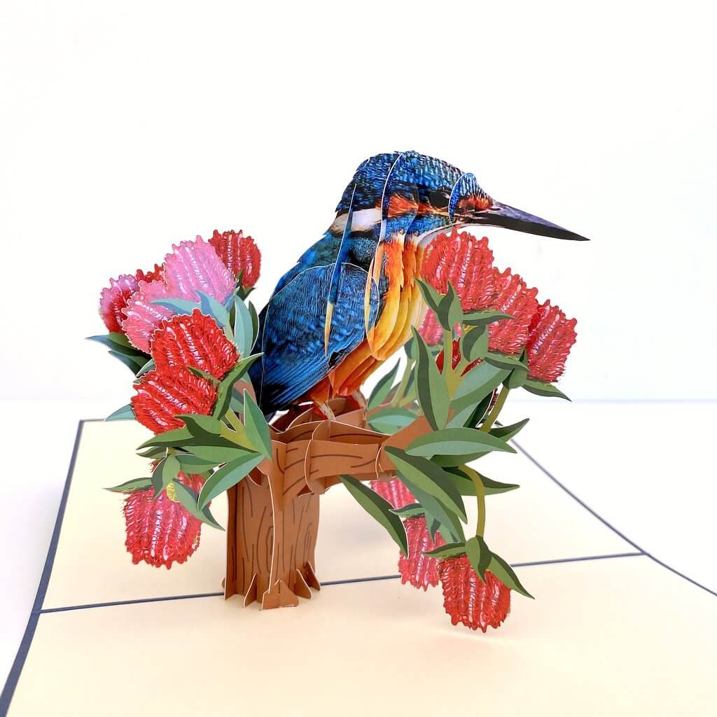 Handmade Australian Kingfisher Bird 3D Pop Up Greeting Card - Australian Native Bird Pop Up Cards - Cards for Bird Lovers